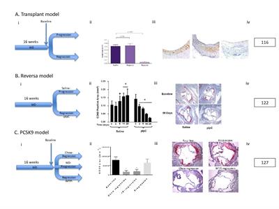 Insights From Pre-Clinical and Clinical Studies on the Role of Innate Inflammation in Atherosclerosis Regression